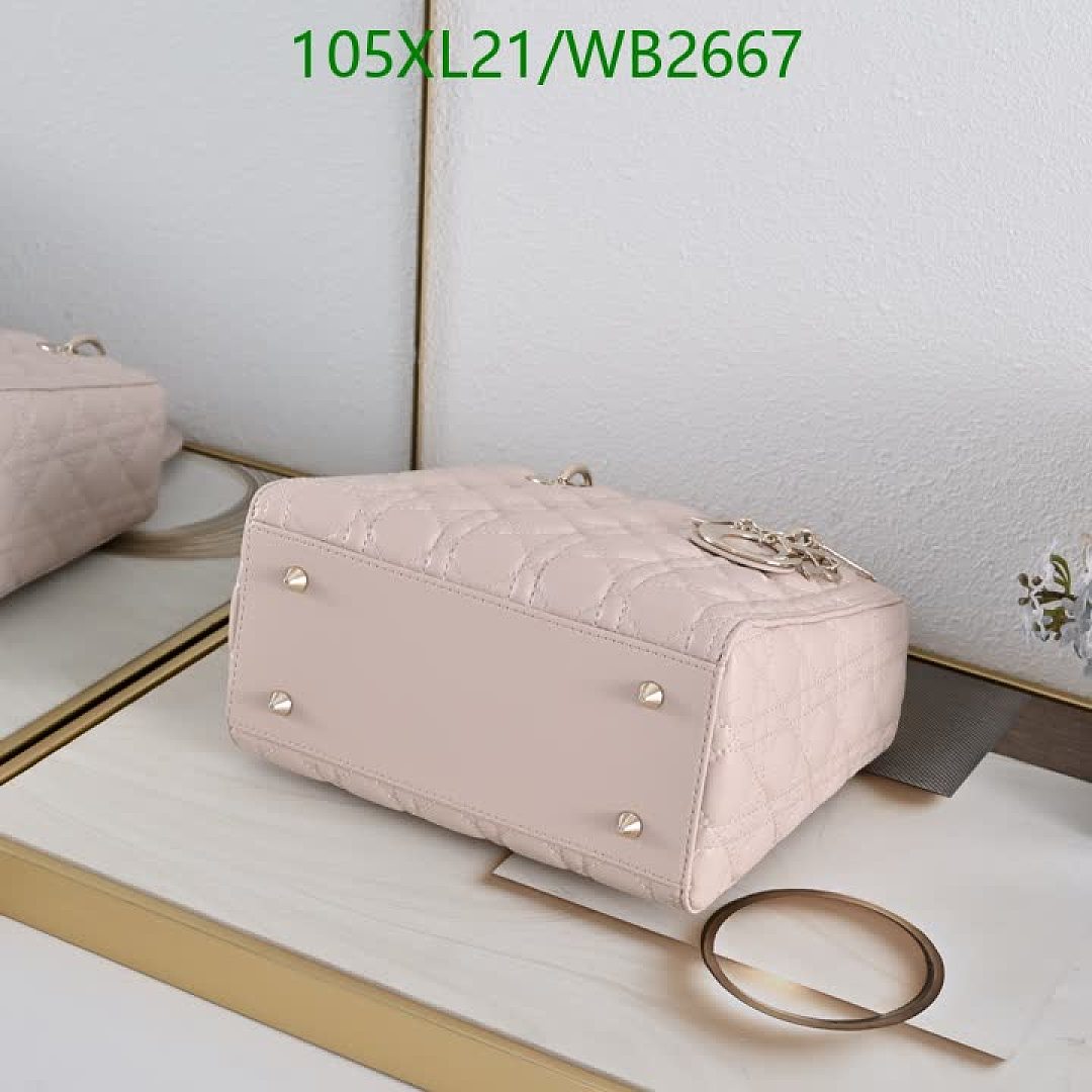 Dior-Bag-4A Quality Code: WB2667 $: 105USD