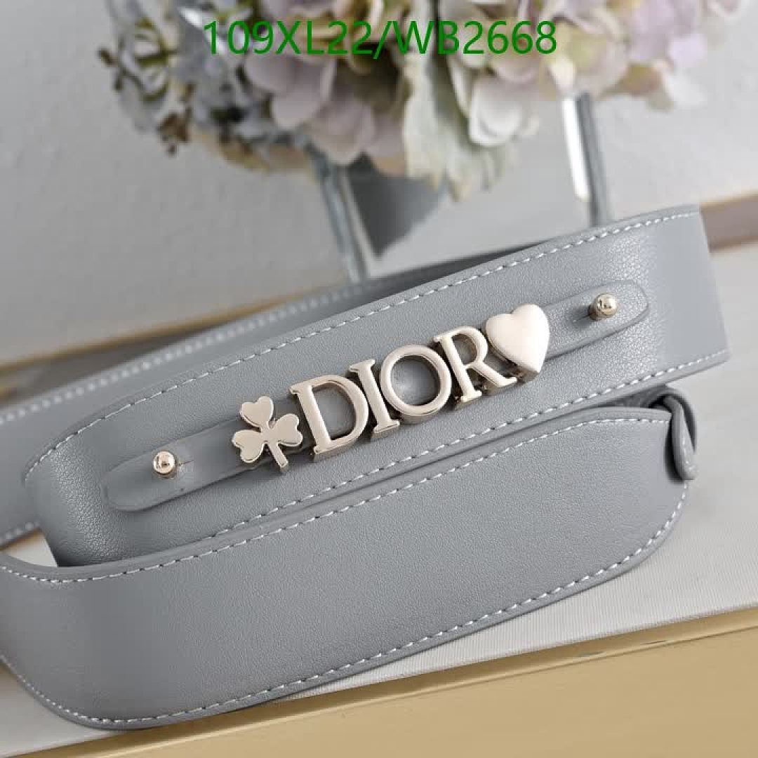Dior-Bag-4A Quality Code: WB2668 $: 109USD