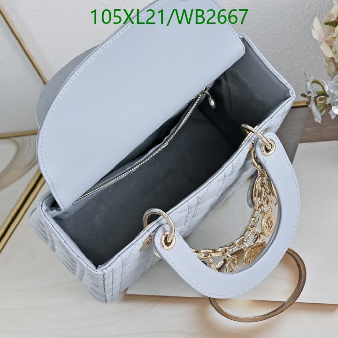 Dior-Bag-4A Quality Code: WB2667 $: 105USD