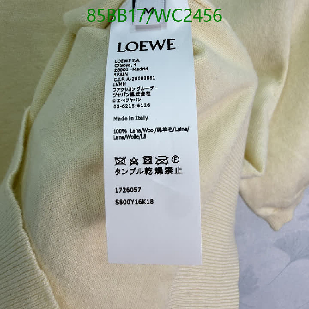 Loewe-Clothing Code: WC2456 $: 85USD