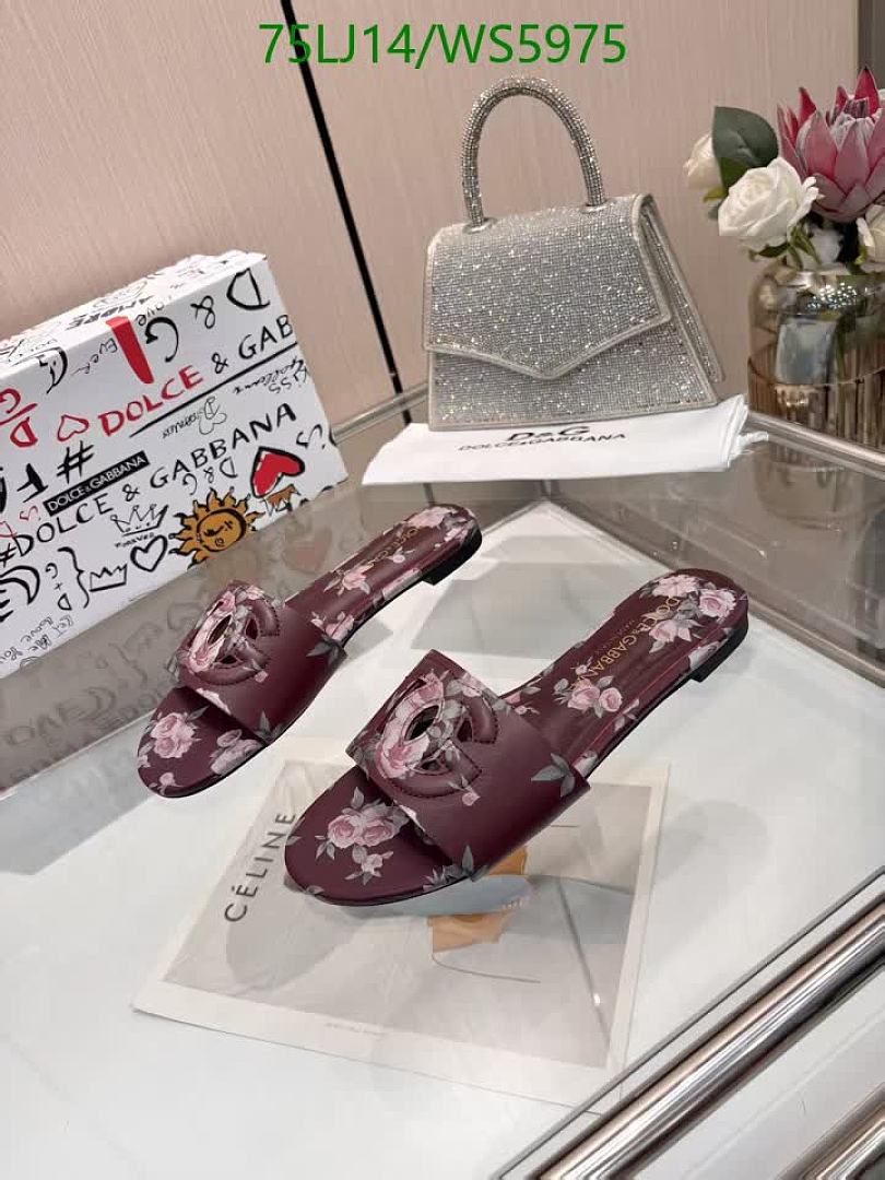 D&G-Women Shoes Code: WS5975 $: 75USD