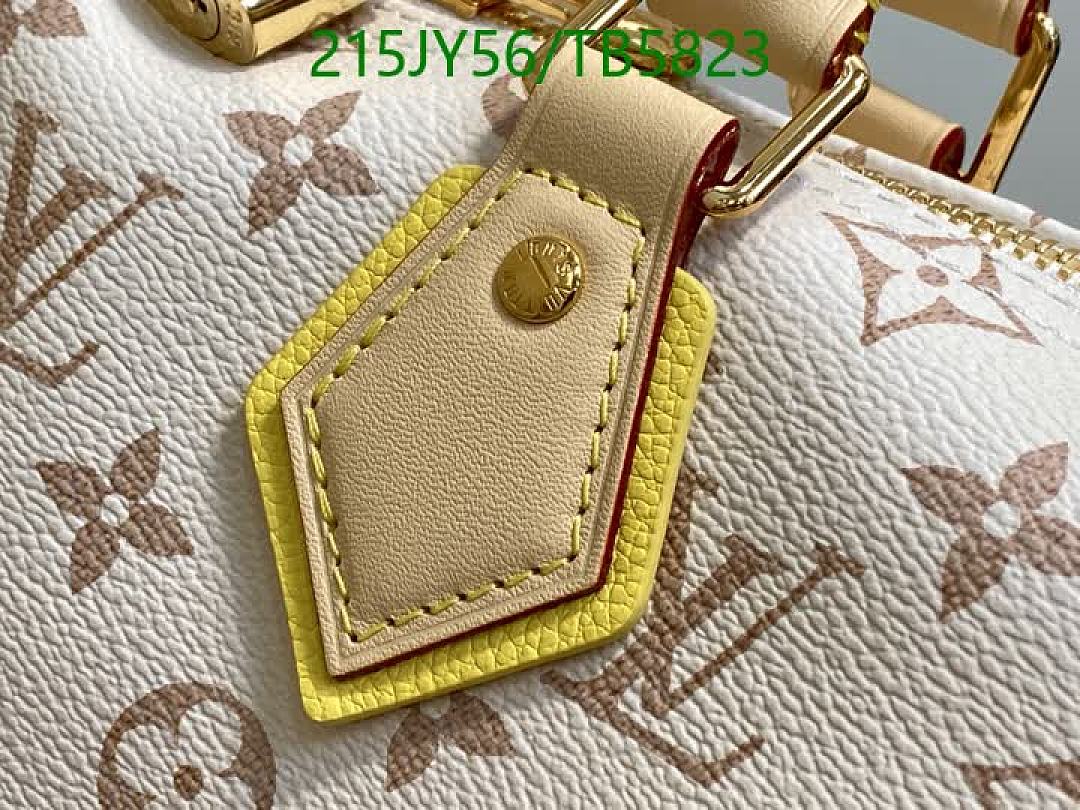 LV-Bag-Mirror Quality Code: TB5823 $: 215USD