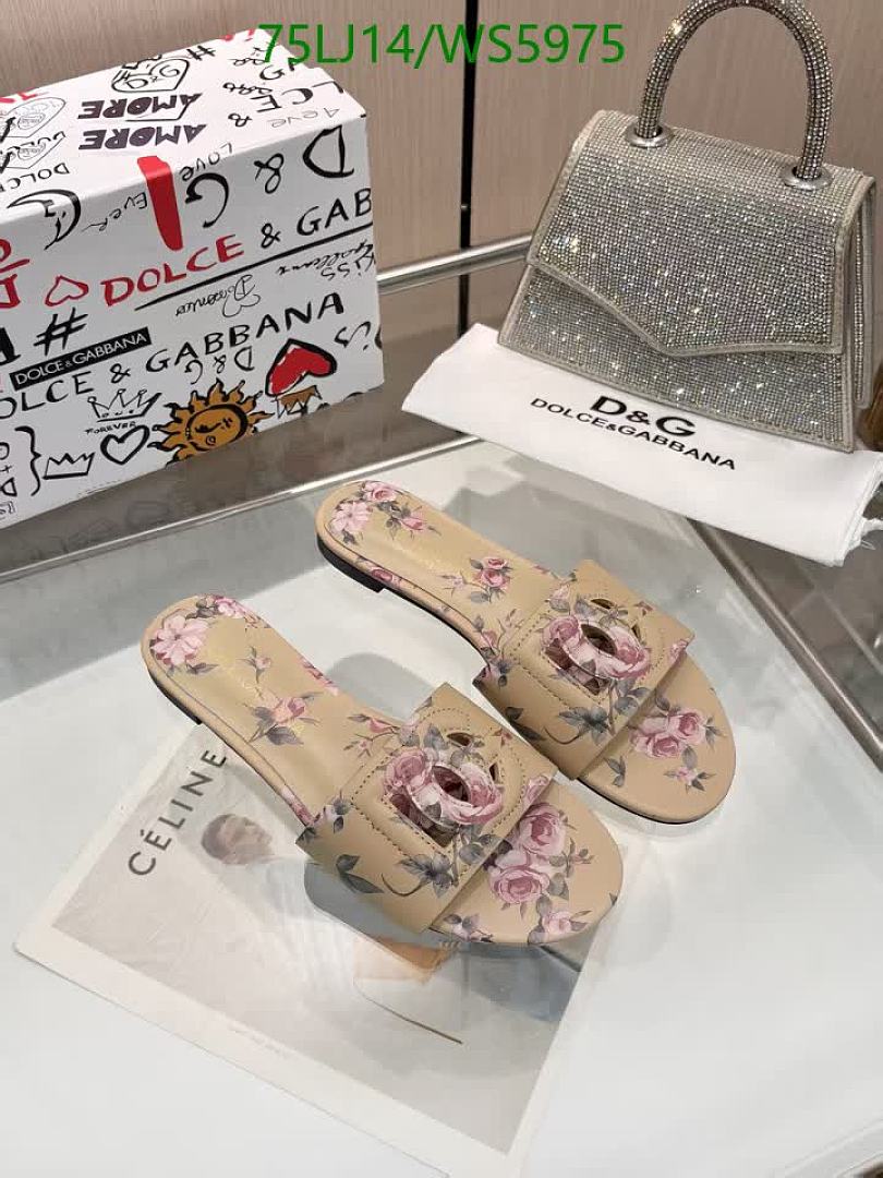 D&G-Women Shoes Code: WS5975 $: 75USD