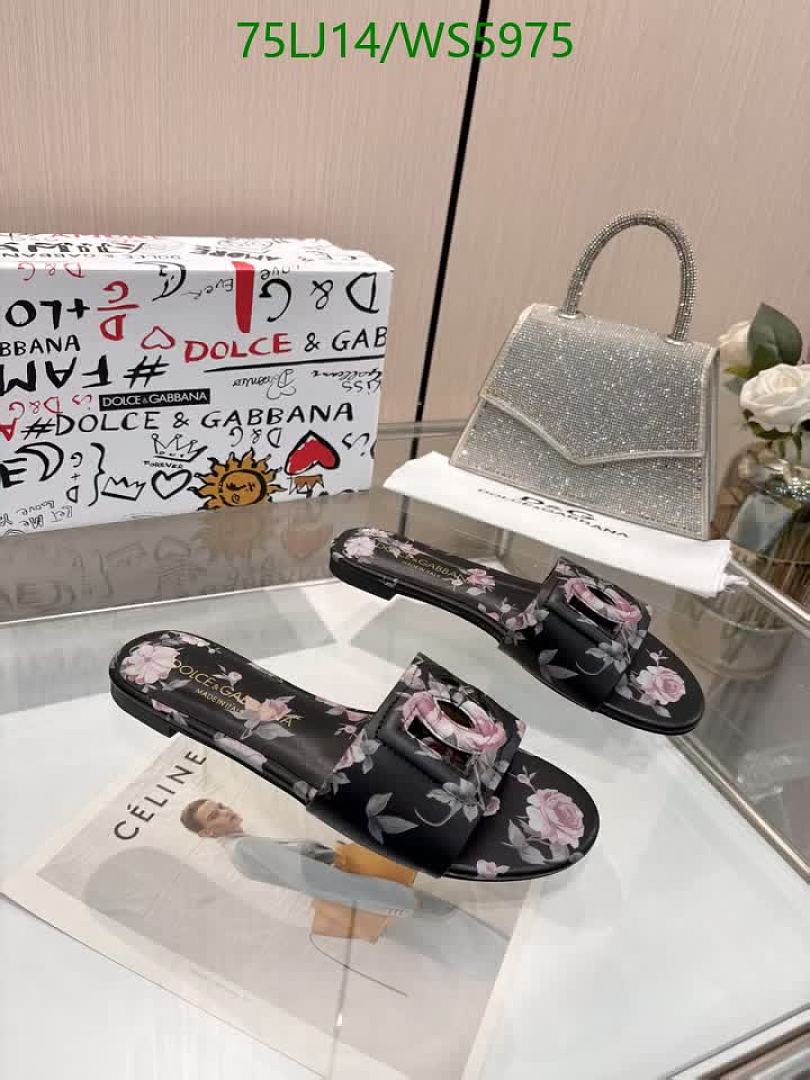 D&G-Women Shoes Code: WS5975 $: 75USD