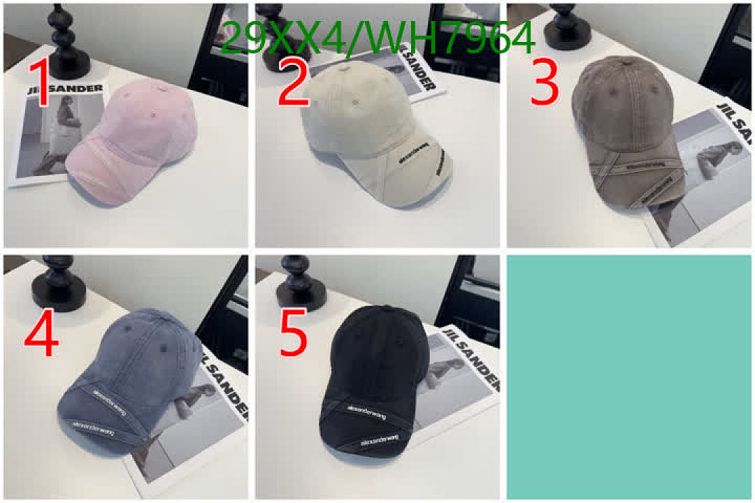 Alexander Wang-Cap(Hat) Code: WH7964 $: 29USD
