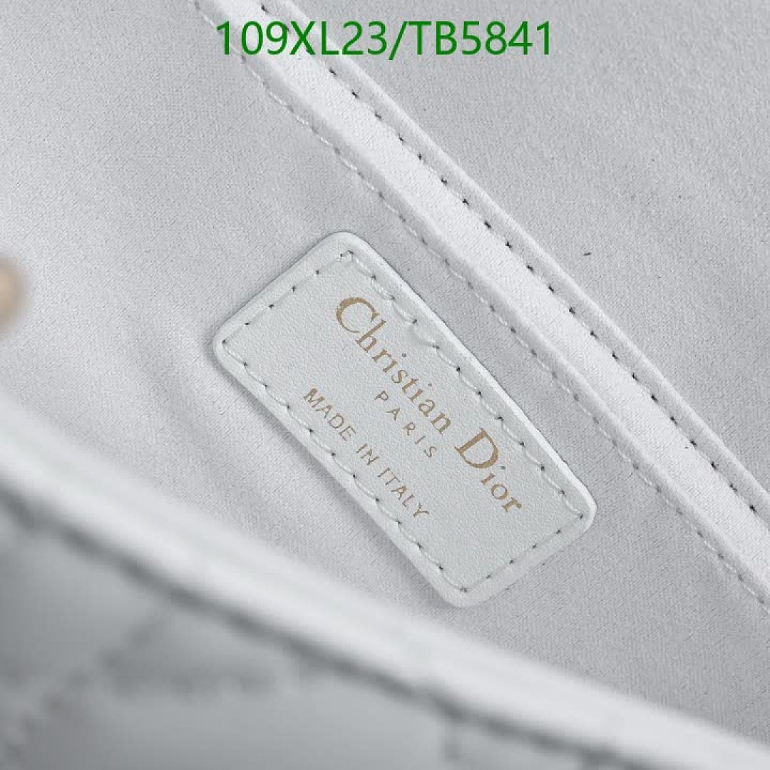Dior-Bag-4A Quality Code: TB5841 $: 109USD