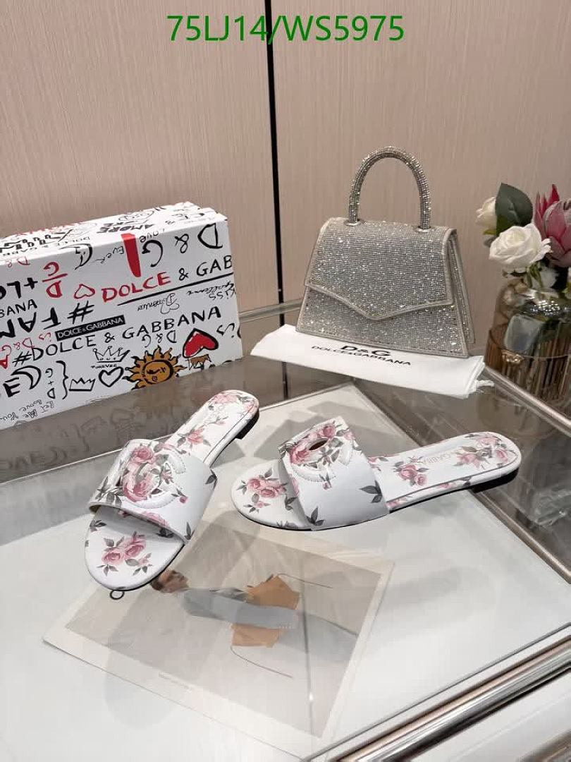D&G-Women Shoes Code: WS5975 $: 75USD