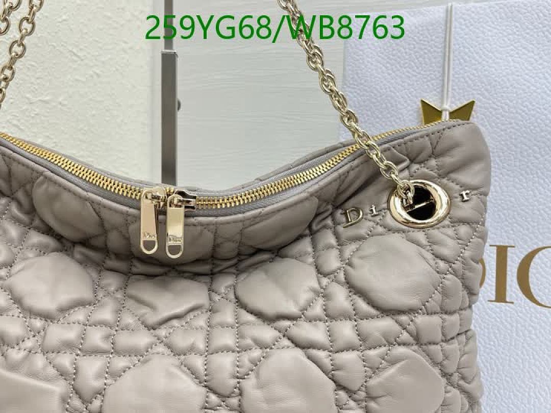 Dior-Bag-Mirror Quality Code: WB8763 $: 259USD