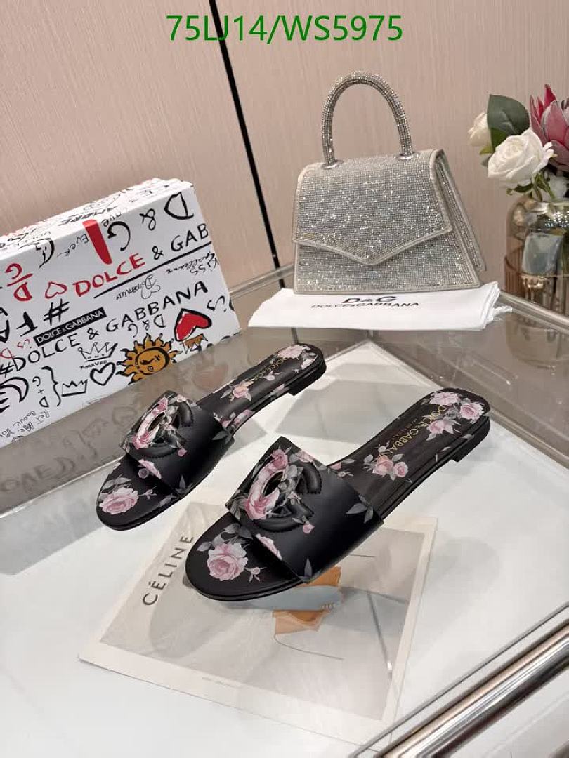D&G-Women Shoes Code: WS5975 $: 75USD