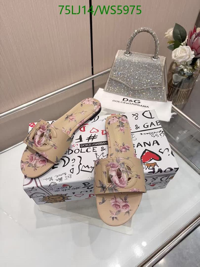 D&G-Women Shoes Code: WS5975 $: 75USD