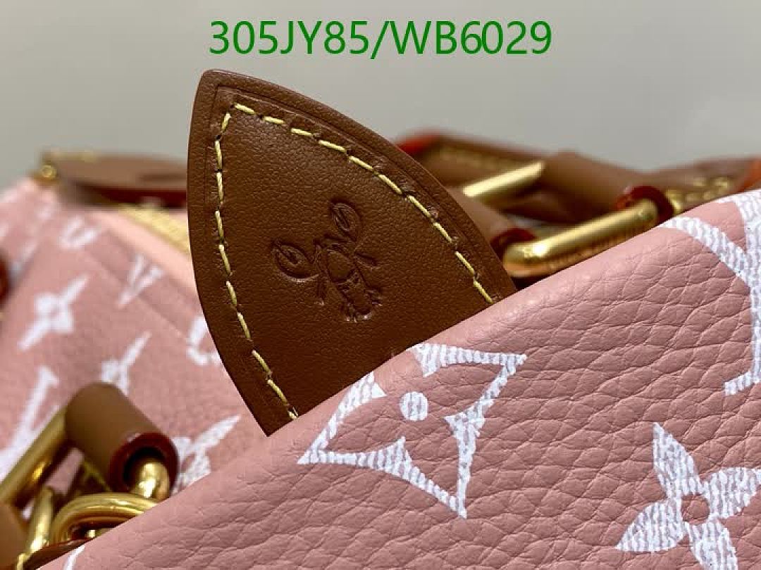 LV-Bag-Mirror Quality Code: WB6029 $: 305USD