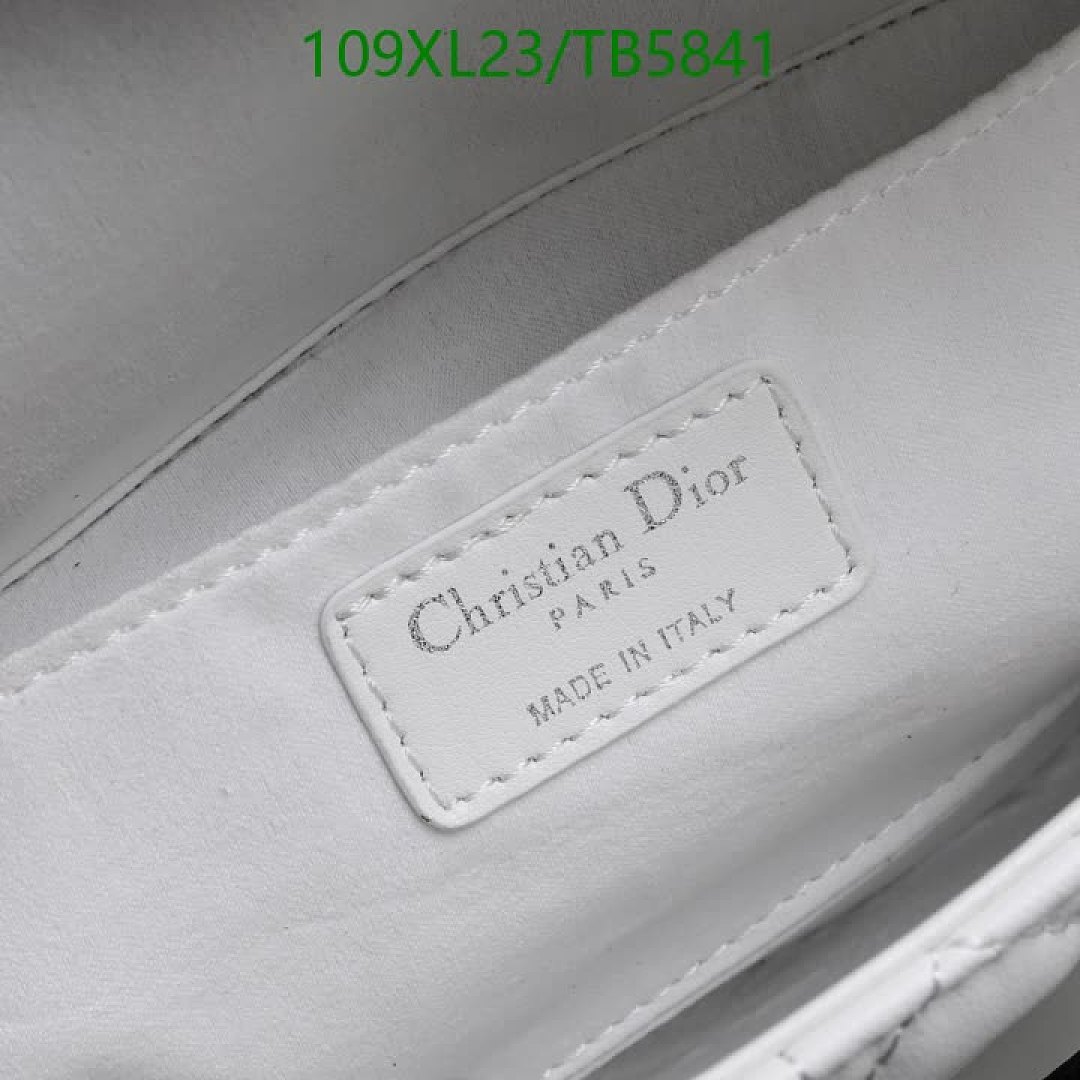 Dior-Bag-4A Quality Code: TB5841 $: 109USD