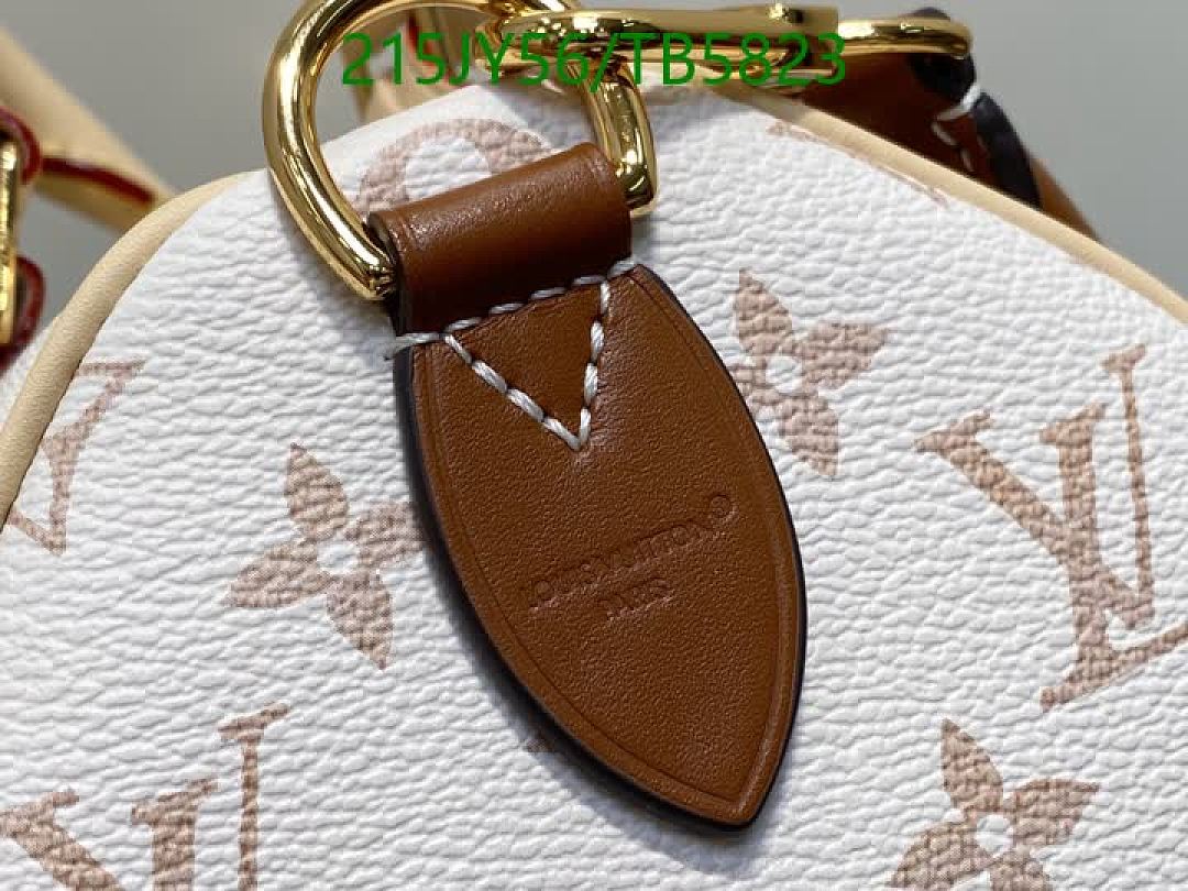 LV-Bag-Mirror Quality Code: TB5823 $: 215USD