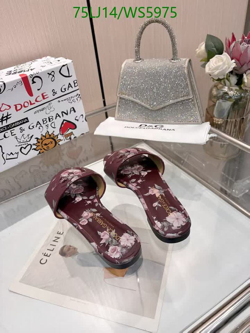 D&G-Women Shoes Code: WS5975 $: 75USD