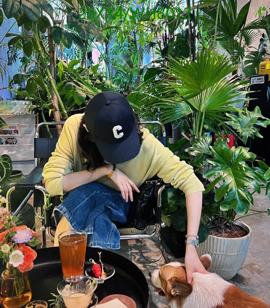 Celine-Cap(Hat) Code: WH8012 $: 29USD