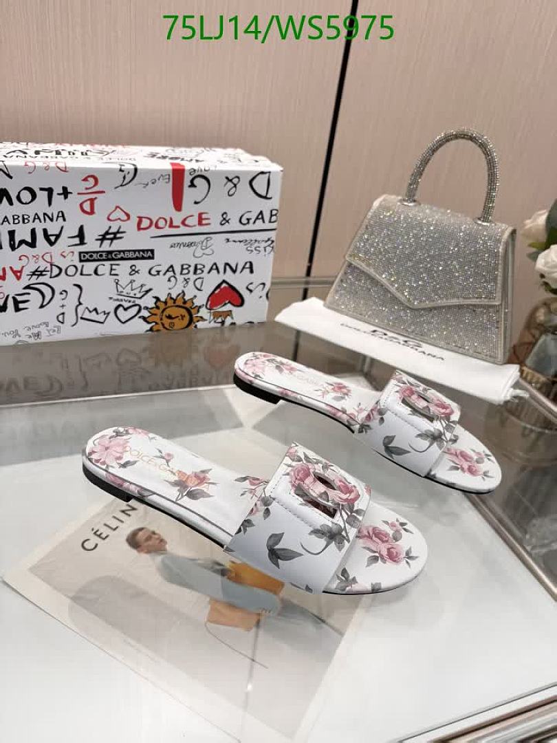 D&G-Women Shoes Code: WS5975 $: 75USD