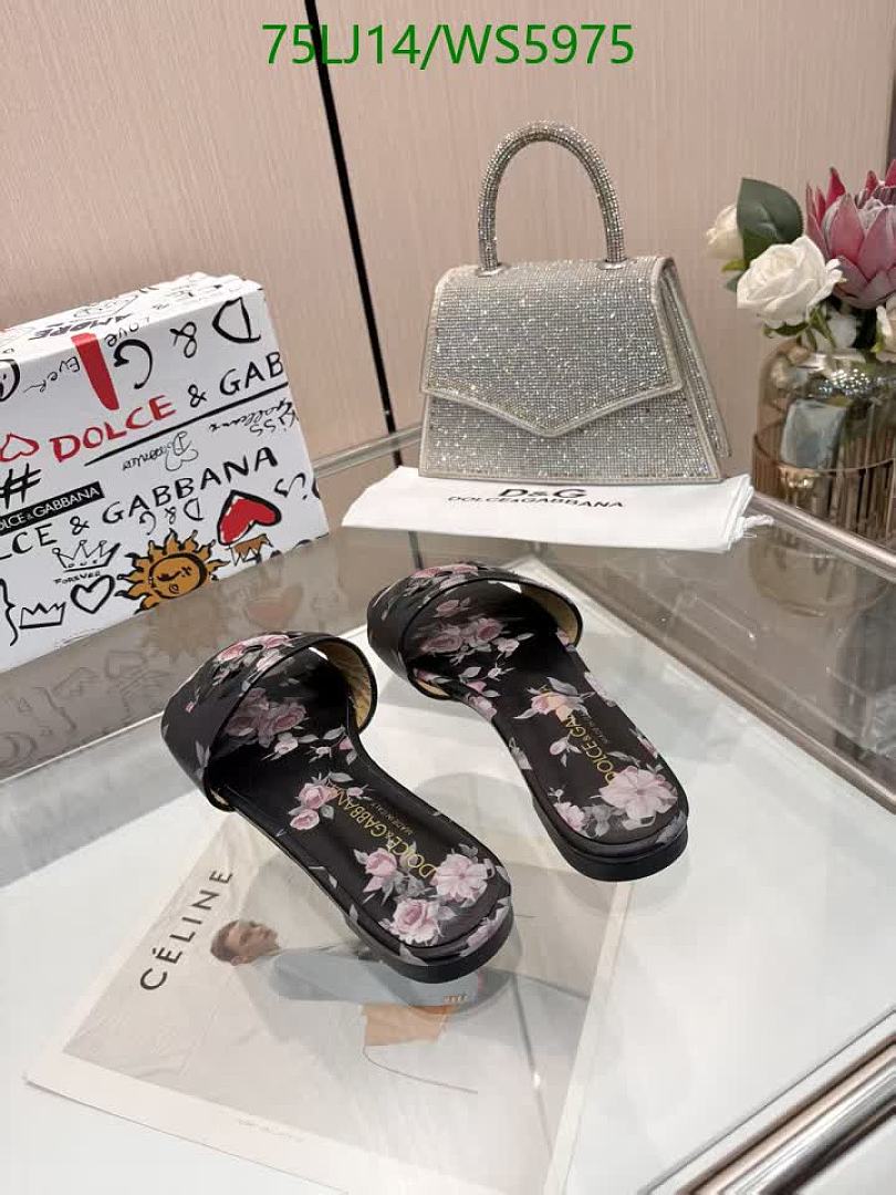 D&G-Women Shoes Code: WS5975 $: 75USD