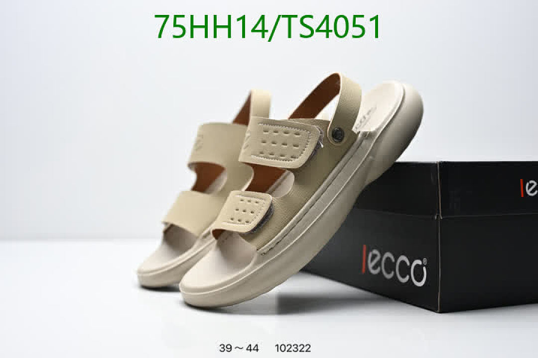 Ecco-Men shoes Code: TS4051 $: 75USD