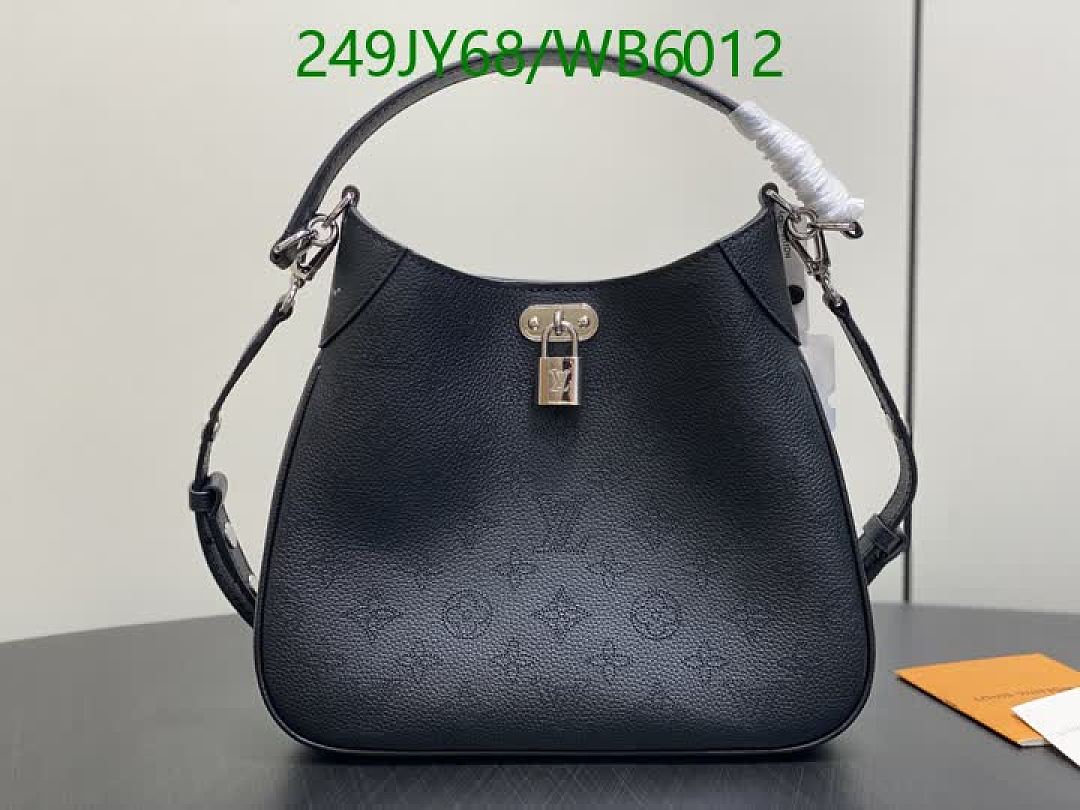 LV-Bag-Mirror Quality Code: WB6012 $: 249USD