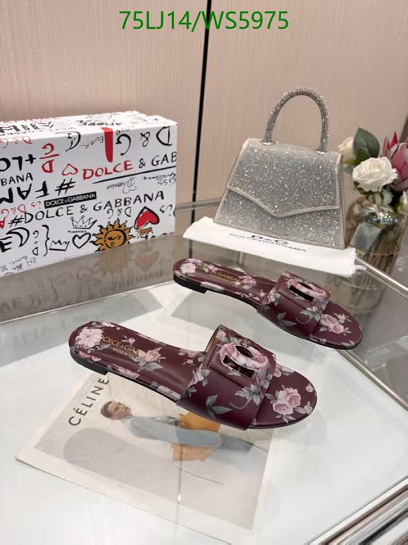 D&G-Women Shoes Code: WS5975 $: 75USD