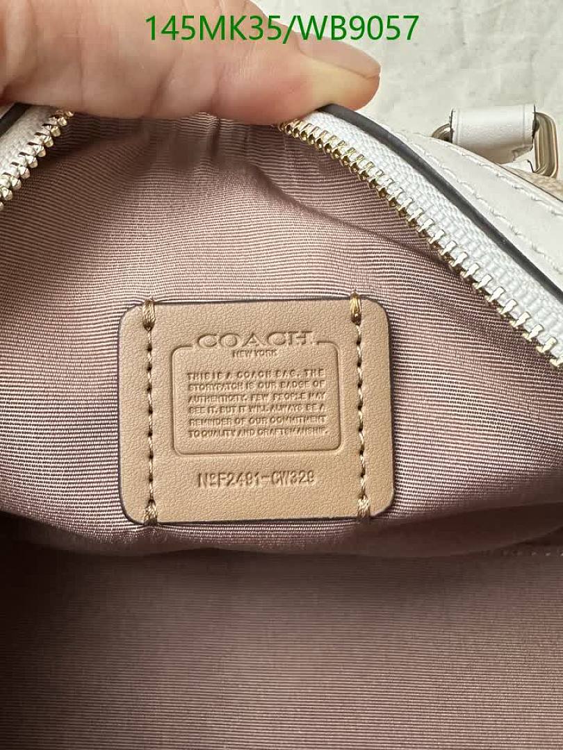 Coach-Bag-Mirror Quality Code: WB9057 $: 145USD