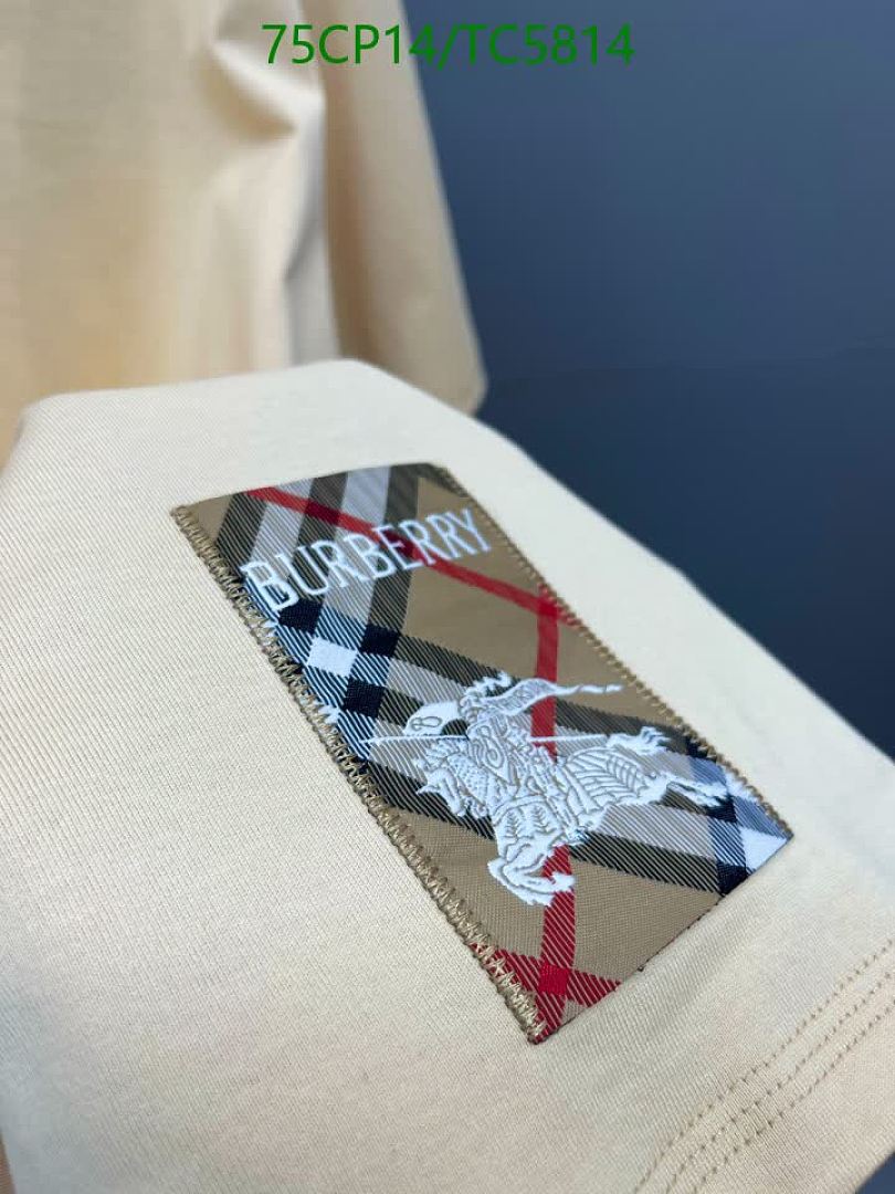 Burberry-Clothing Code: TC5814 $: 75USD