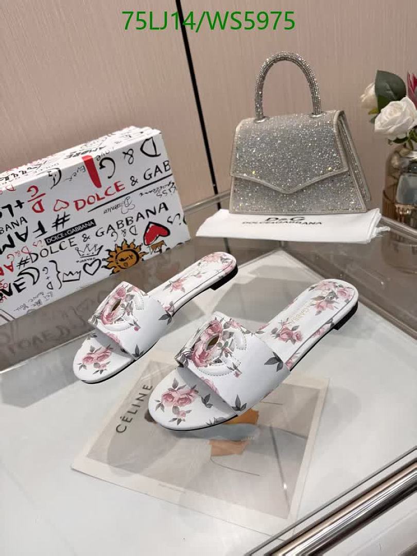 D&G-Women Shoes Code: WS5975 $: 75USD