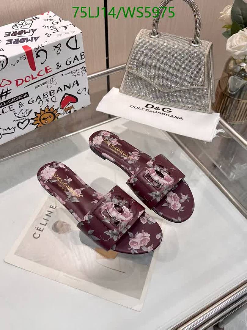 D&G-Women Shoes Code: WS5975 $: 75USD