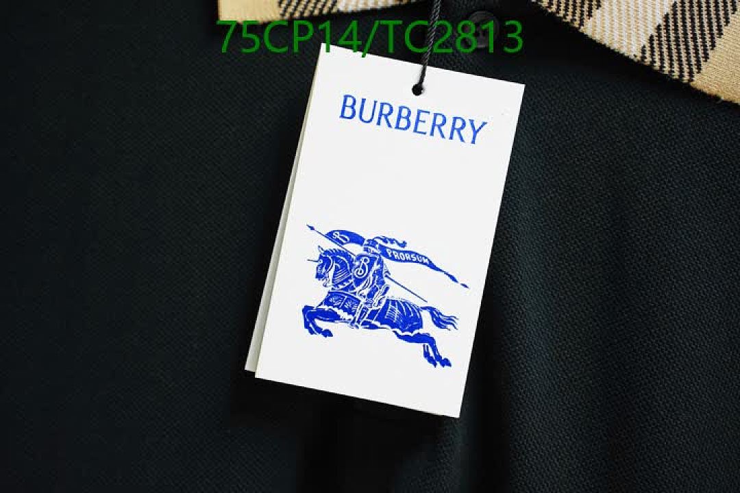 Burberry-Clothing Code: TC2813 $: 75USD