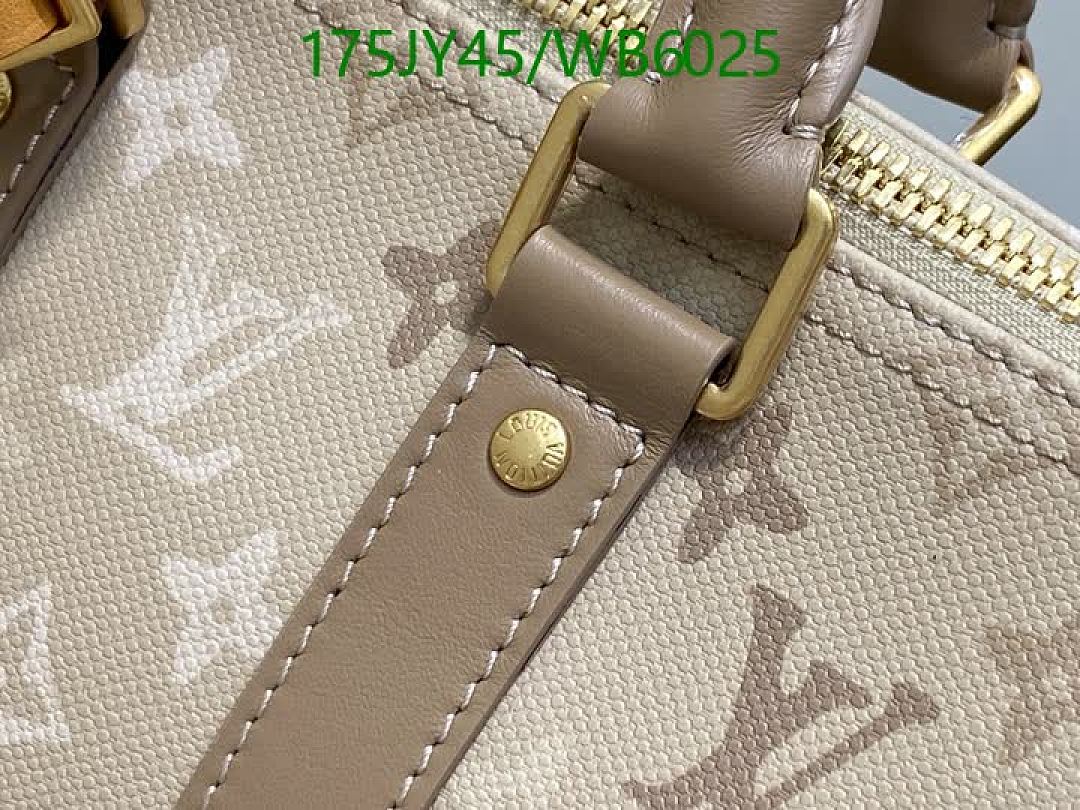 LV-Bag-Mirror Quality Code: WB6025 $: 175USD