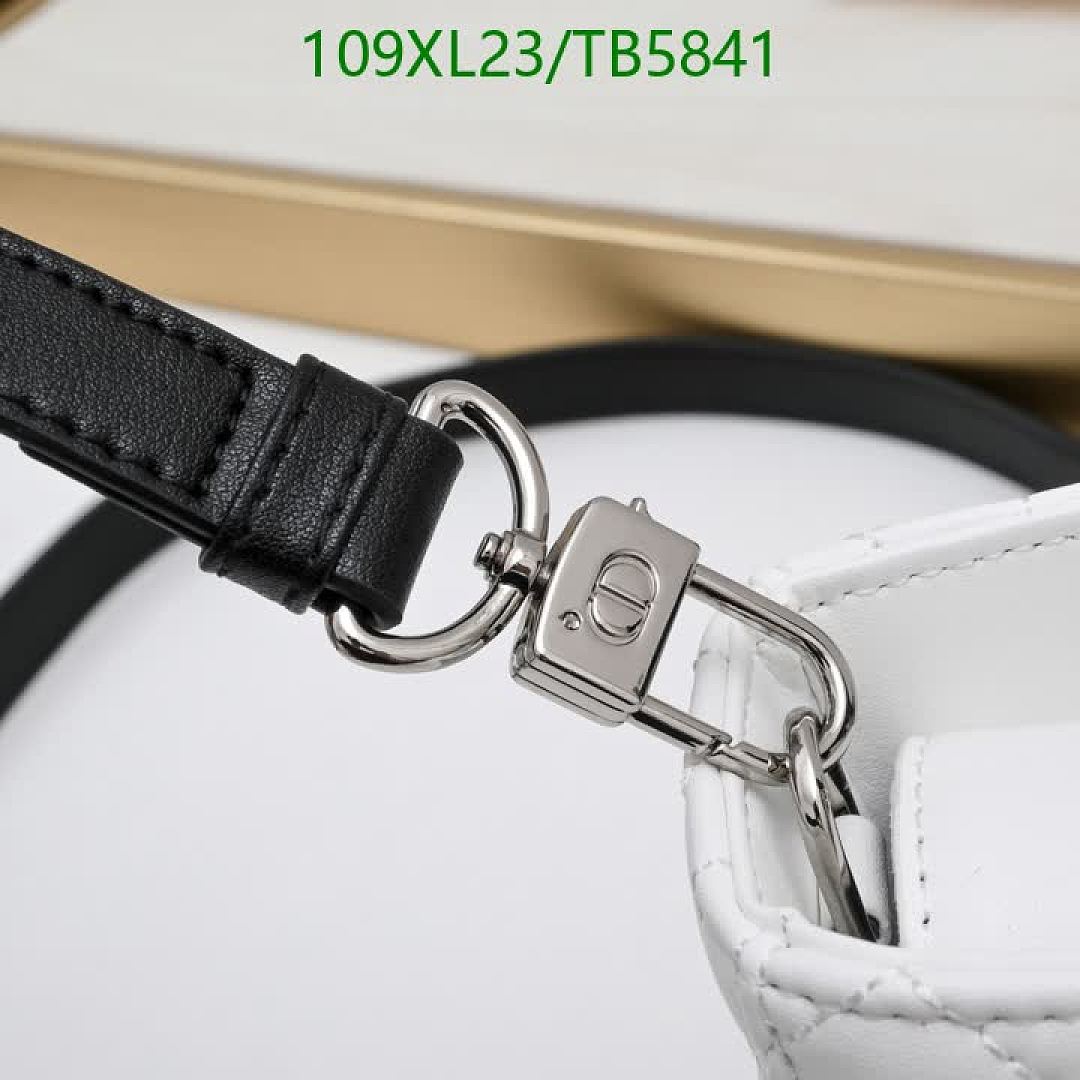 Dior-Bag-4A Quality Code: TB5841 $: 109USD