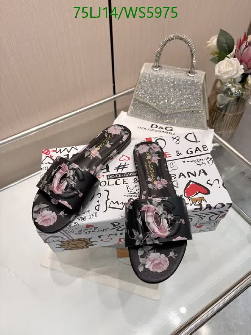 D&G-Women Shoes Code: WS5975 $: 75USD