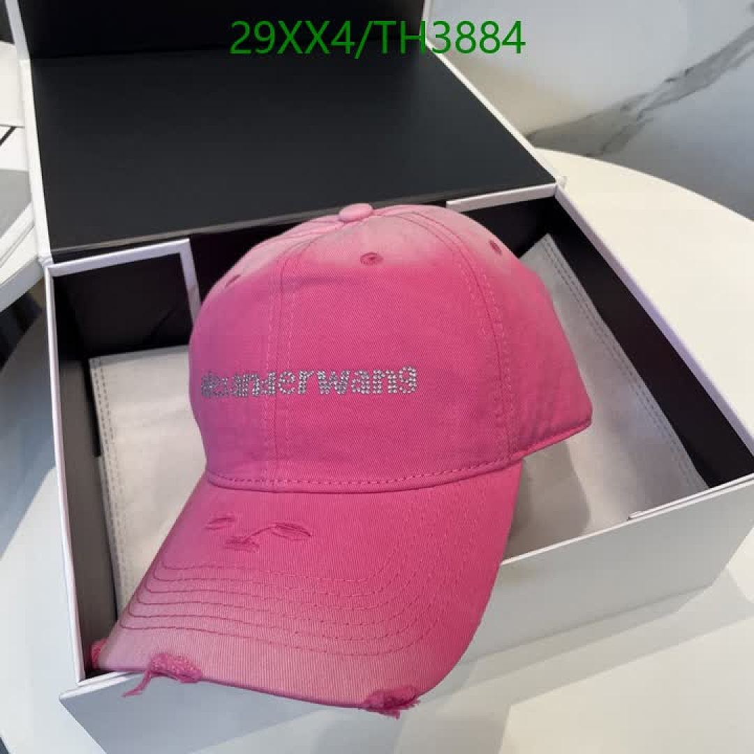 Alexander Wang-Hats Code: TH3884 $: 29USD