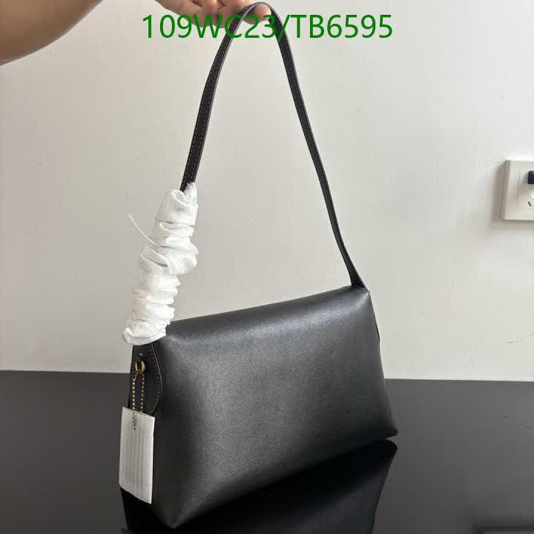 Coach-Bags(4A) Code: TB6595 $: 109USD