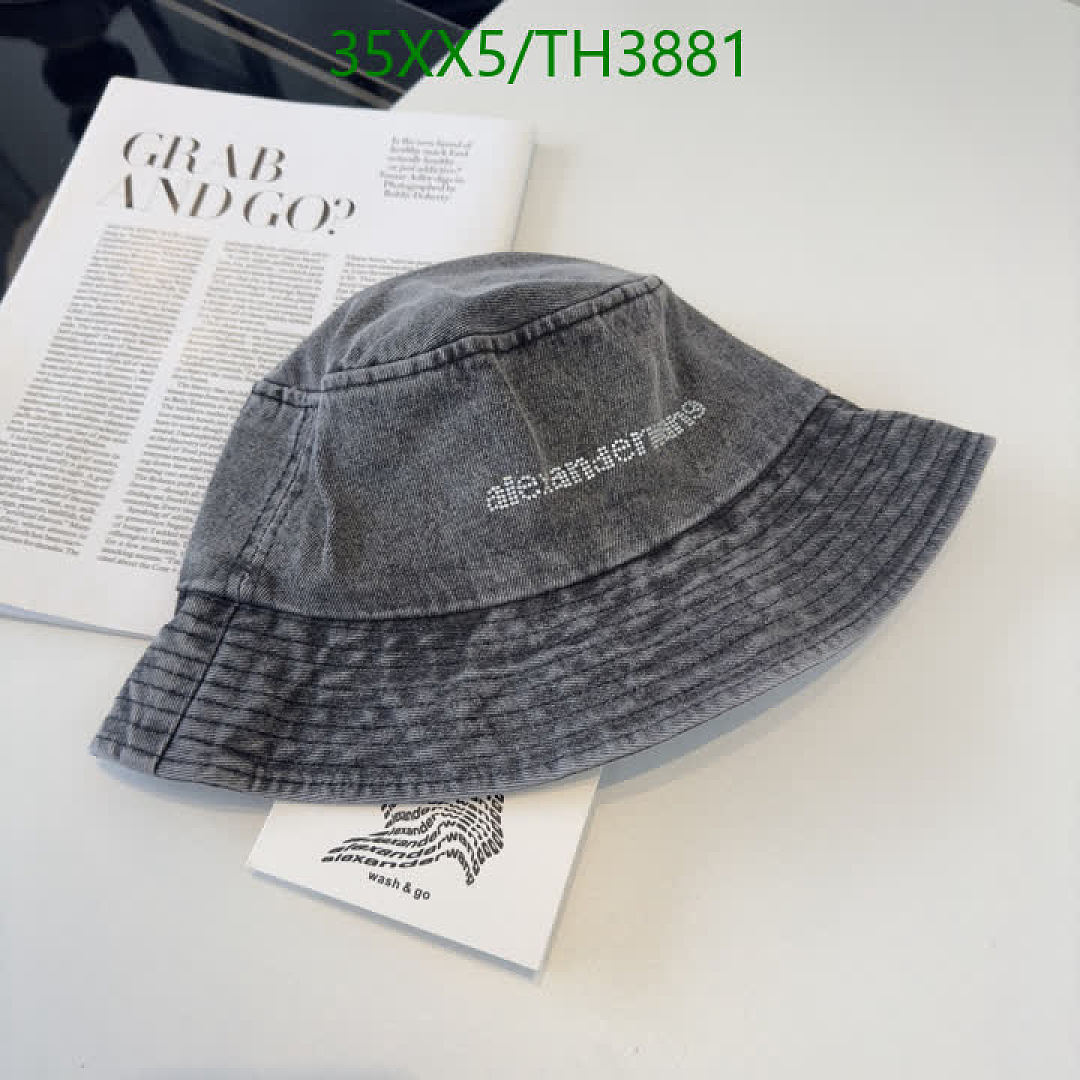 Alexander Wang-Hats Code: TH3881 $: 35USD