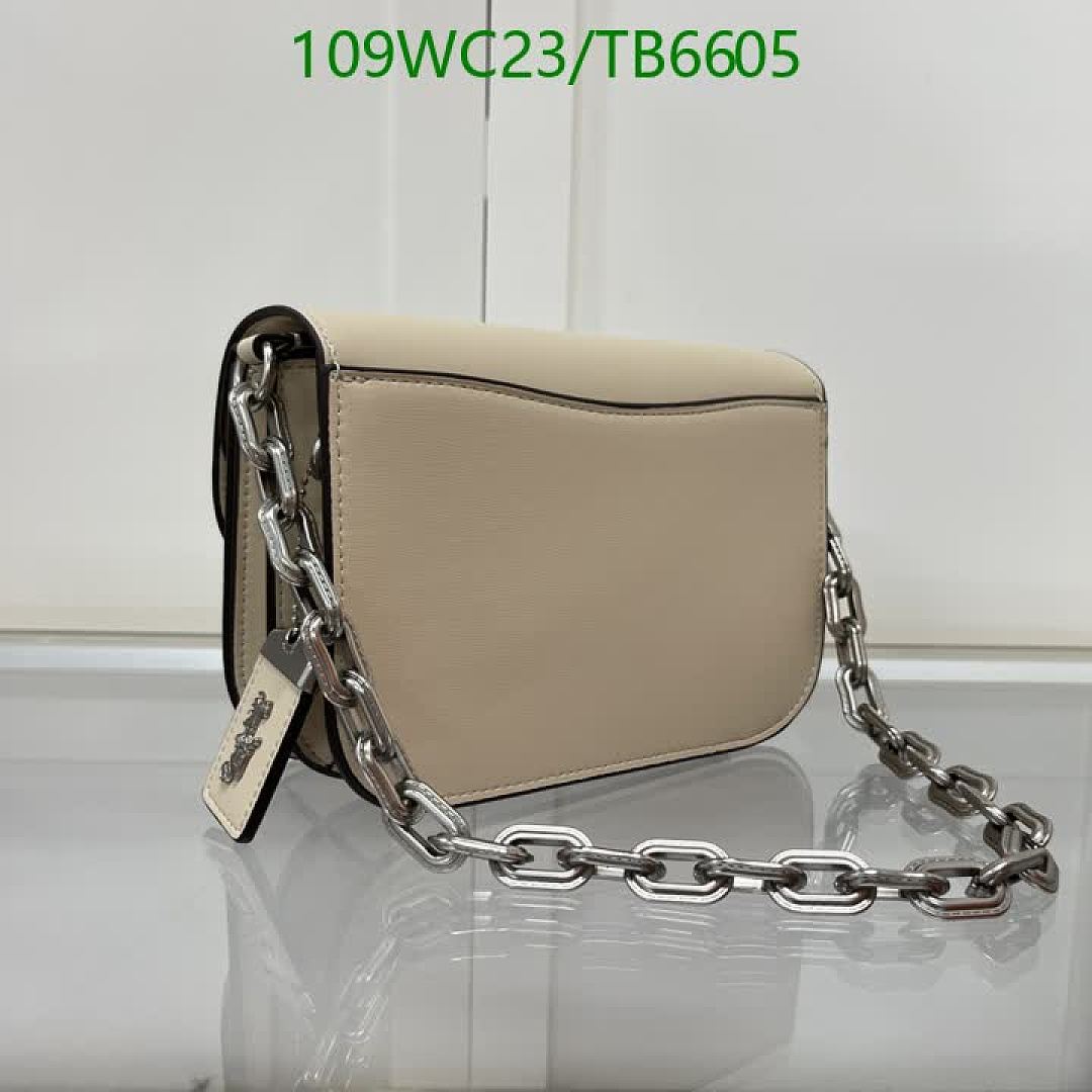 Coach-Bags(4A) Code: TB6605 $: 109USD