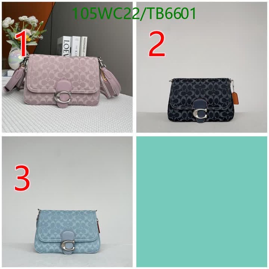 Coach-Bags(4A) Code: TB6601 $: 105USD