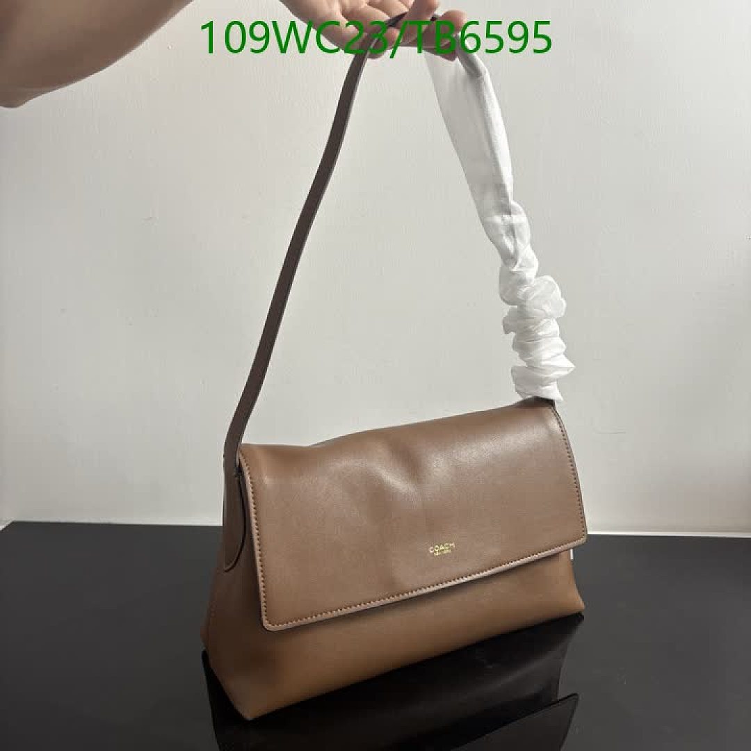 Coach-Bags(4A) Code: TB6595 $: 109USD