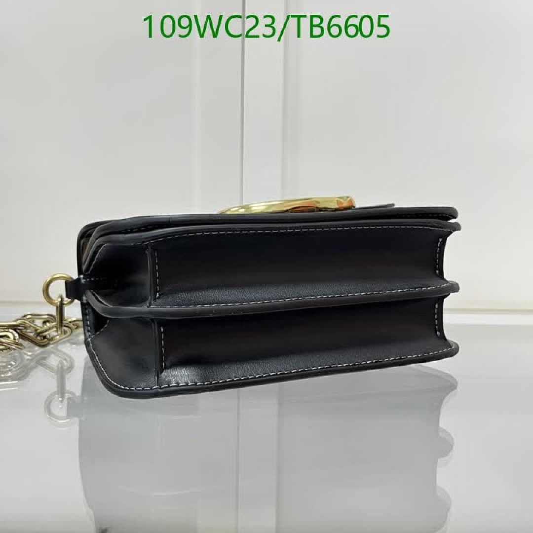 Coach-Bags(4A) Code: TB6605 $: 109USD