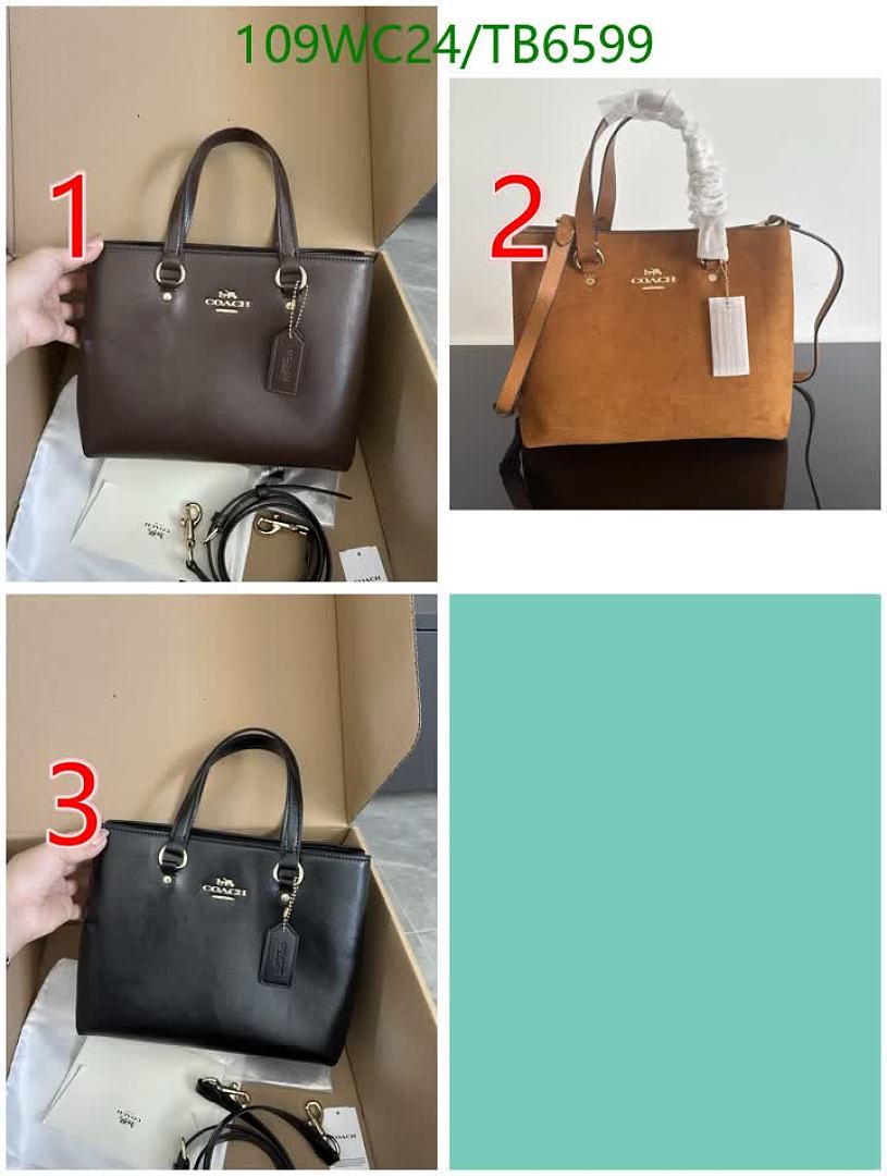 Coach-Bags(4A) Code: TB6599 $: 109USD