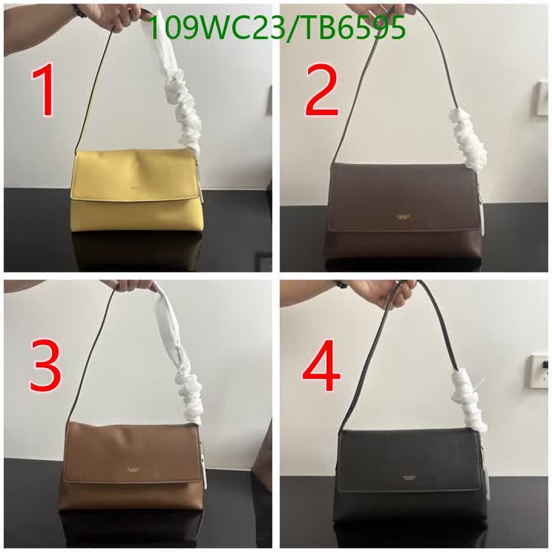 Coach-Bags(4A) Code: TB6595 $: 109USD