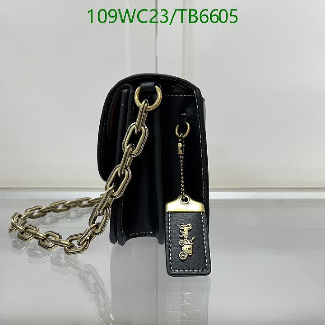Coach-Bags(4A) Code: TB6605 $: 109USD