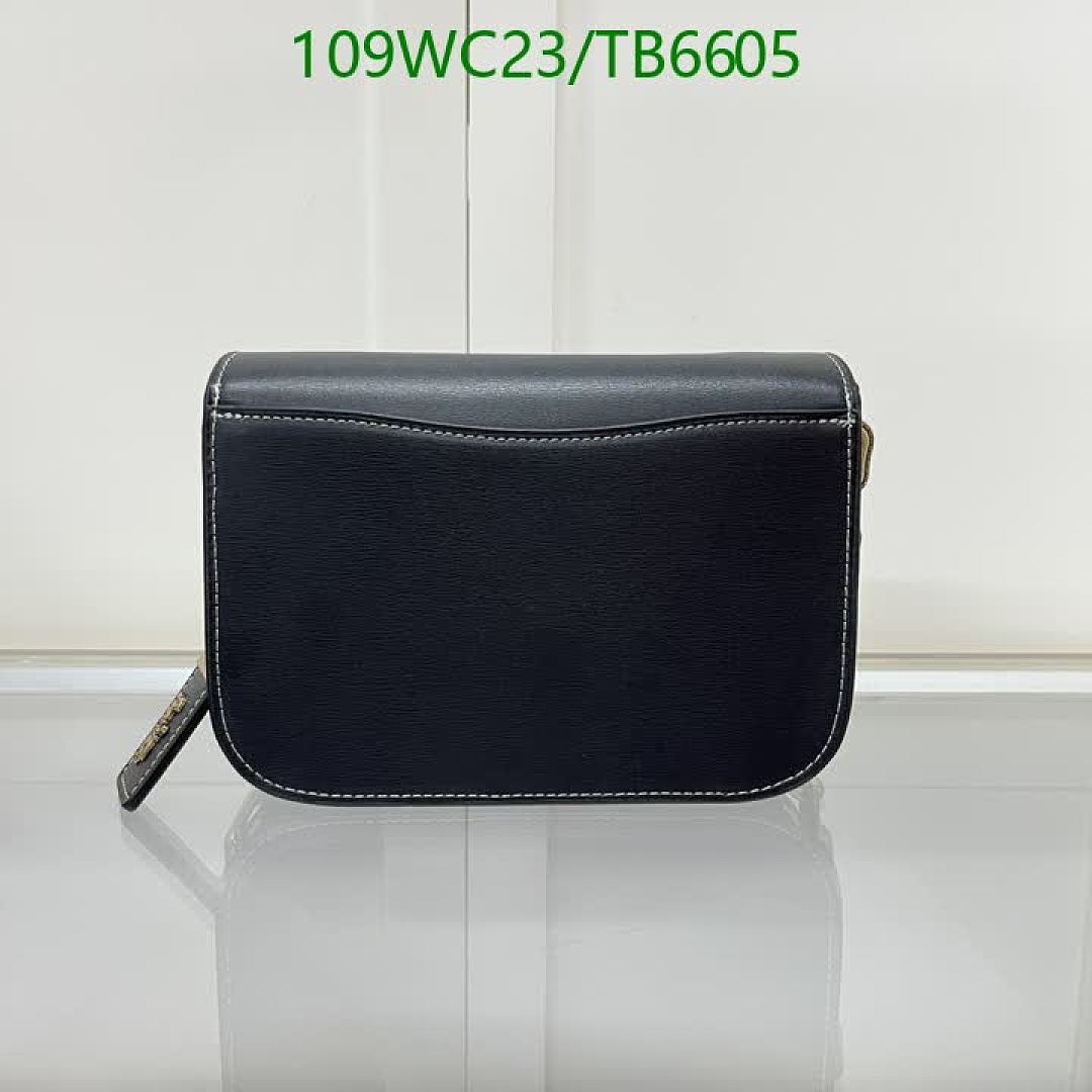 Coach-Bags(4A) Code: TB6605 $: 109USD