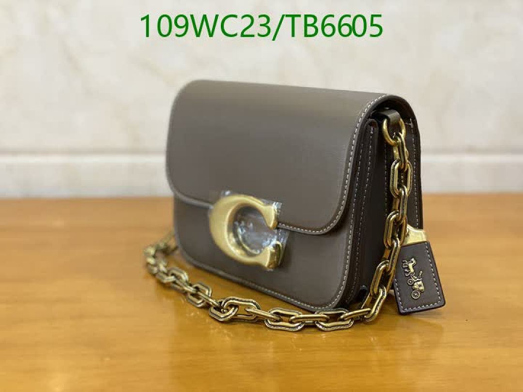 Coach-Bags(4A) Code: TB6605 $: 109USD