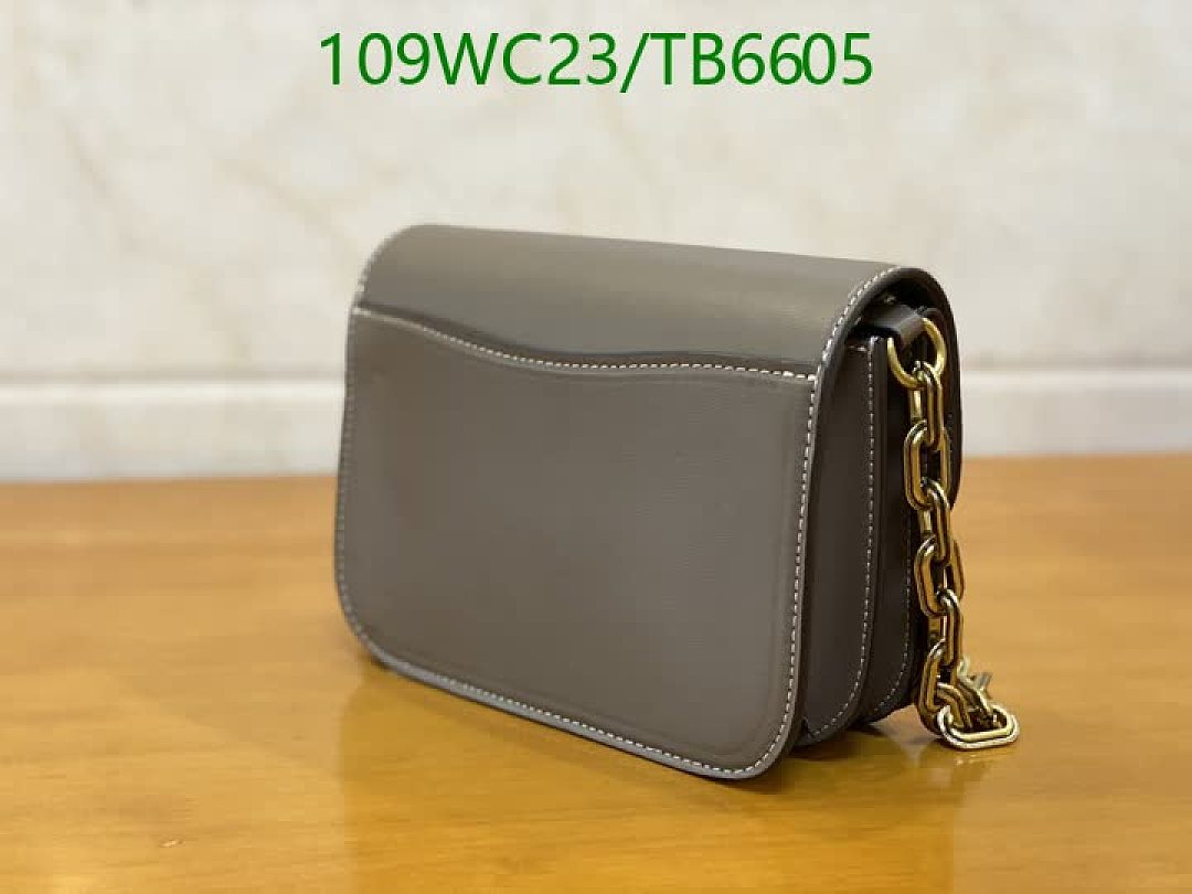 Coach-Bags(4A) Code: TB6605 $: 109USD