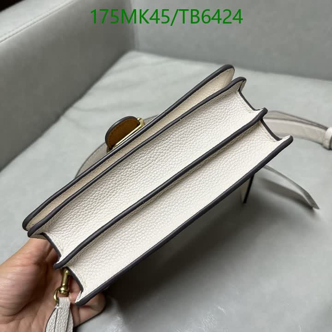 Coach-Bags(5A) Code: TB6424 $: 175USD