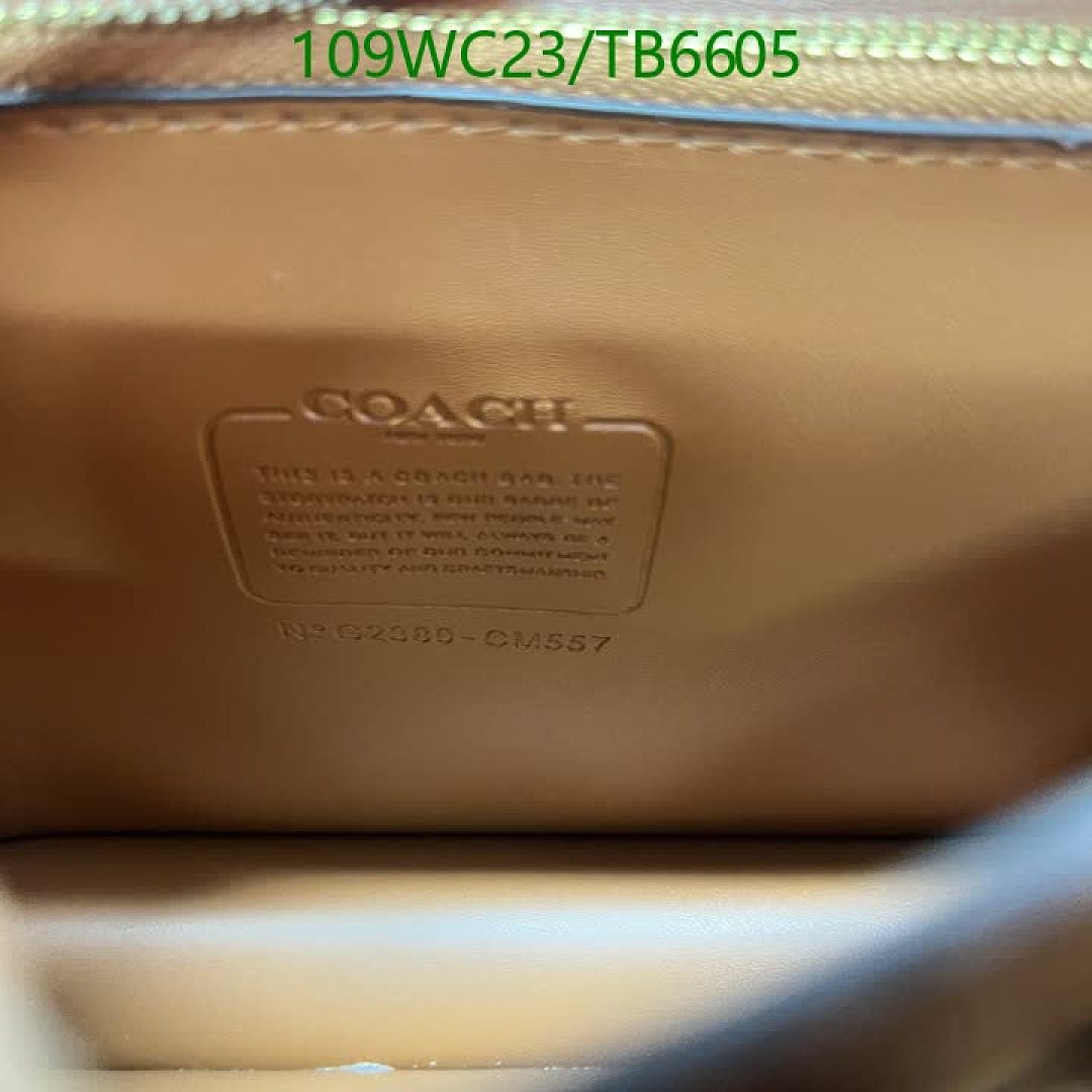 Coach-Bags(4A) Code: TB6605 $: 109USD