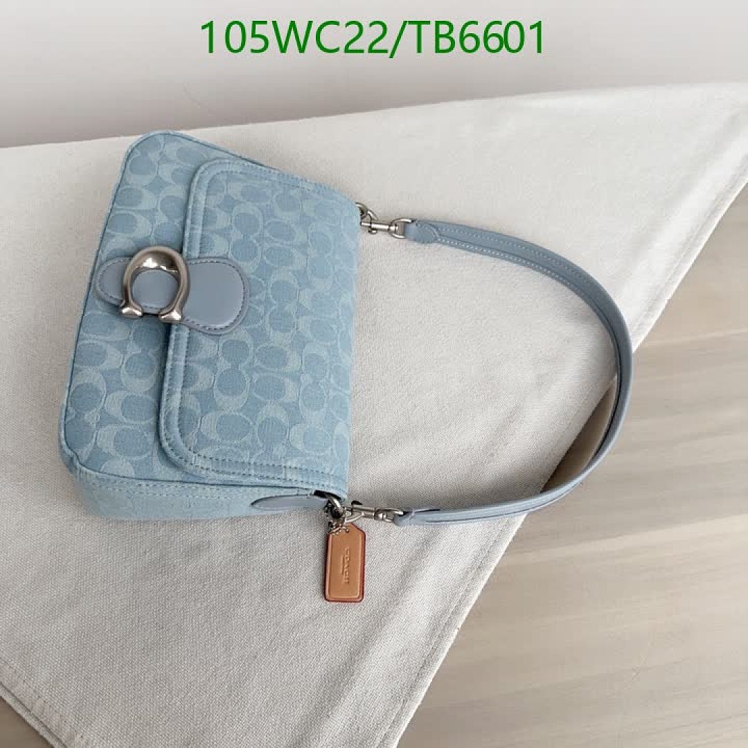 Coach-Bags(4A) Code: TB6601 $: 105USD