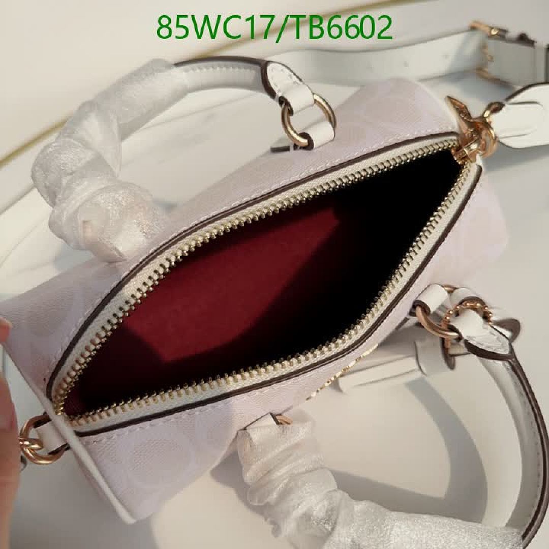 Coach-Bags(4A) Code: TB6602 $: 85USD