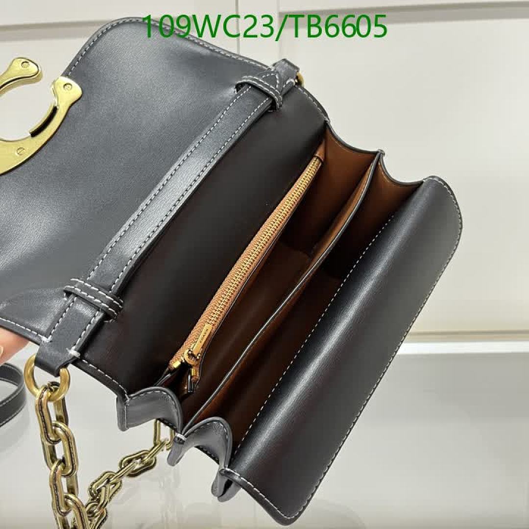 Coach-Bags(4A) Code: TB6605 $: 109USD